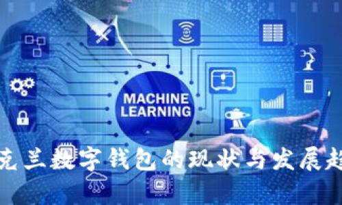 乌克兰数字钱包的现状与发展趋势
