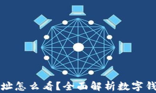 
数字钱包地址怎么看？全面解析数字钱包使用指南