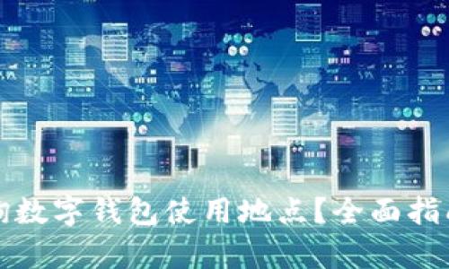 如何有效查询数字钱包使用地点？全面指南与实践技巧