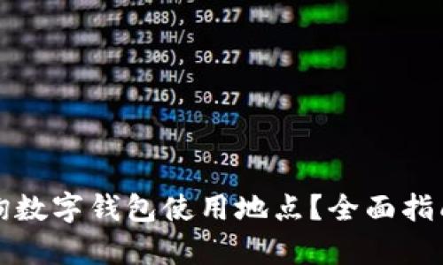 如何有效查询数字钱包使用地点？全面指南与实践技巧