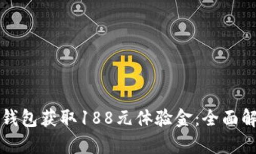 如何利用数字钱包获取188元体验金：全面解析和实用指南