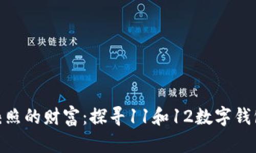 : 梦中映照的财富：探寻11和12数字钱包的奥秘