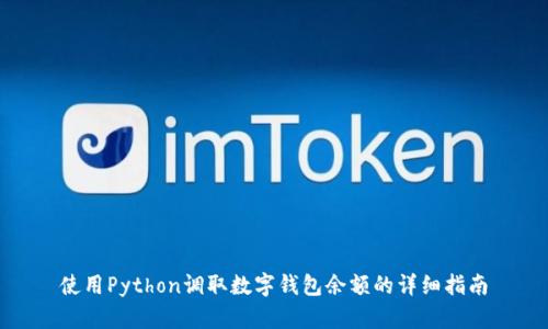 使用Python调取数字钱包余额的详细指南