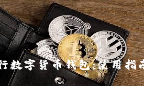 如何使用建行数字货币钱包：使用指南与编码解析