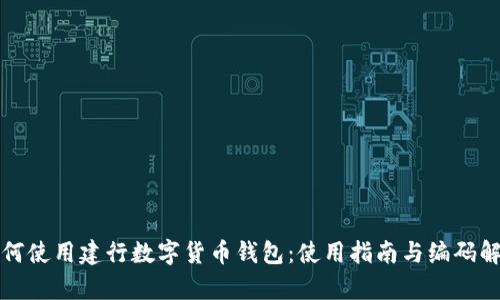 如何使用建行数字货币钱包：使用指南与编码解析