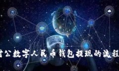 全面解析：对公数字人民