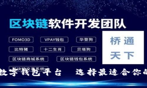 国内常用数字钱包平台—选择最适合你的支付方式