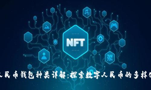 数字人民币钱包种类详解：探索数字人民币的多样化选择