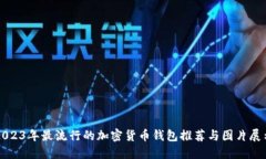 2023年最流行的加密货币钱