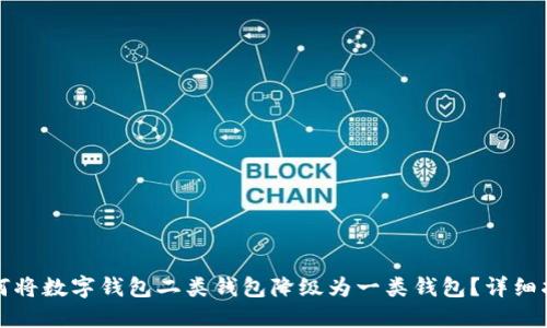 如何将数字钱包二类钱包降级为一类钱包？详细指南
