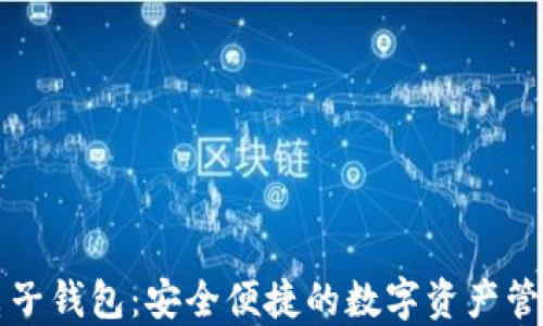 
区块链电子钱包：安全便捷的数字资产管理新选择