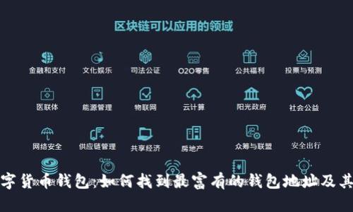 : 探索数字货币钱包：如何找到最富有的钱包地址及其影响因素