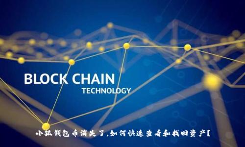 小狐钱包币消失了，如何快速查看和找回资产？