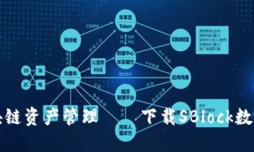 安全便利的区块链资产管理——下载SBlock数字钱包的全指南