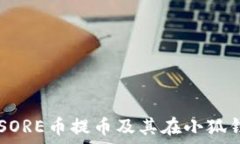     深入了解SORE币提币及其