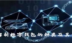 全面解析数字钱包的种类