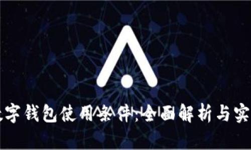 开放数字钱包使用条件：全面解析与实用指南