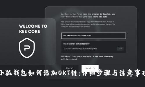 小狐钱包如何添加OKT链：详细步骤与注意事项