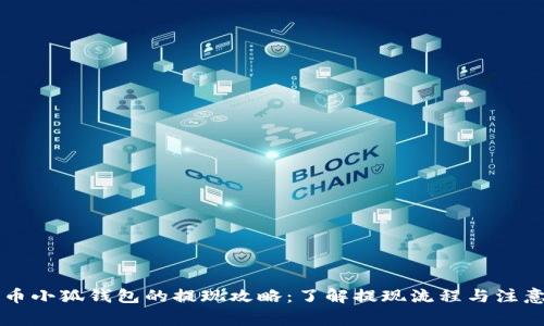 雷达币小狐钱包的提现攻略：了解提现流程与注意事项