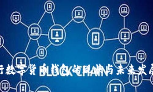 : 央行数字货币钱包的现状与未来发展探讨