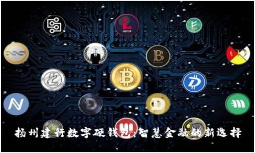 扬州建行数字硬钱包：智慧金融的新选择