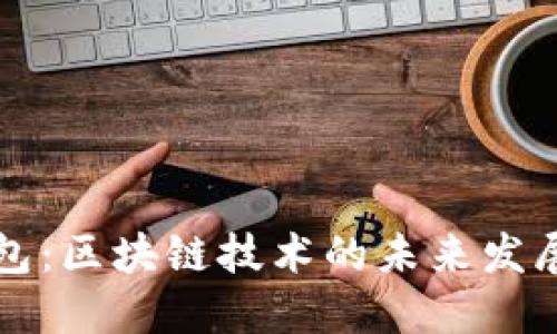 数字钱包：区块链技术的未来发展与应用