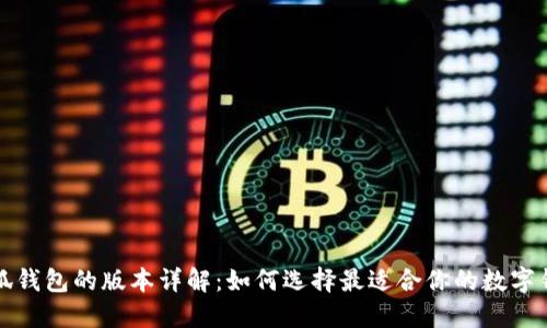 小狐钱包的版本详解：如何选择最适合你的数字钱包