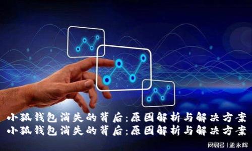 小狐钱包消失的背后：原因解析与解决方案
小狐钱包消失的背后：原因解析与解决方案