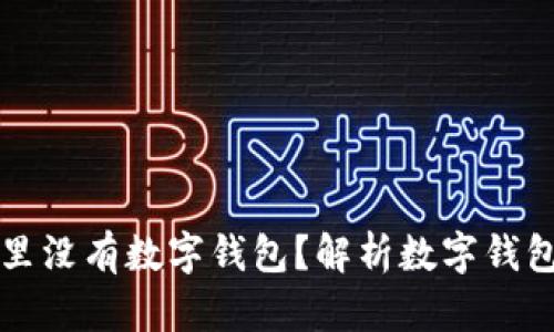 为什么工行里没有数字钱包？解析数字钱包的未来趋势
