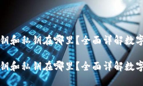 小狐钱包的公钥和私钥在哪里？全面详解数字资产安全管理

小狐钱包的公钥和私钥在哪里？全面详解数字资产安全管理