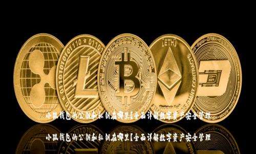 小狐钱包的公钥和私钥在哪里？全面详解数字资产安全管理

小狐钱包的公钥和私钥在哪里？全面详解数字资产安全管理