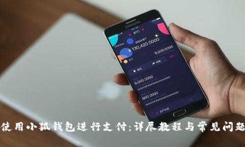 如何使用小狐钱包进行支付：详尽教程与常见问题解答