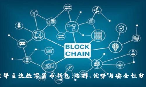 世界主流数字货币钱包：选择、优势与安全性分析