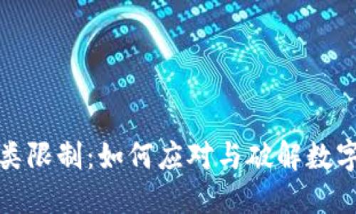 数字钱包二类限制：如何应对与破解数字支付的挑战
