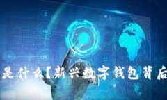 ### 小狐钱包是什么？新兴