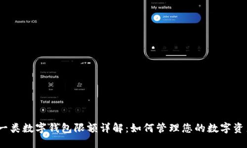 : 一类数字钱包限额详解：如何管理您的数字资产？