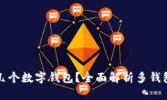 可以拥有几个数字钱包？