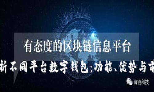 全面解析不同平台数字钱包：功能、优势与前景展望