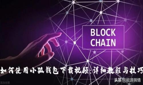 如何使用小狐钱包下载视频：详细教程与技巧