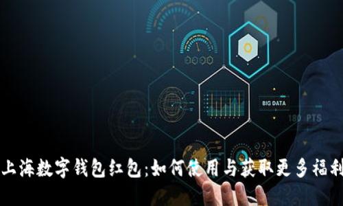 上海数字钱包红包：如何使用与获取更多福利