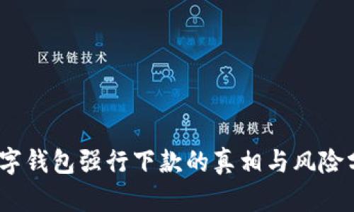 :数字钱包强行下款的真相与风险分析