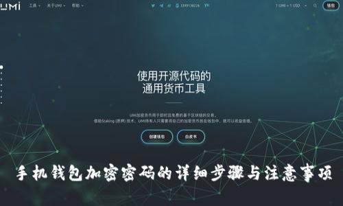 手机钱包加密密码的详细步骤与注意事项