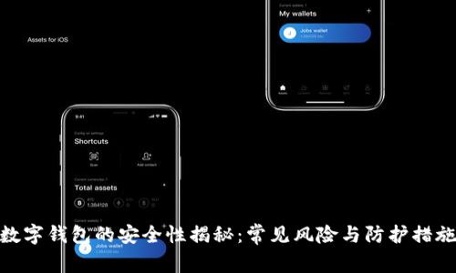 数字钱包的安全性揭秘：常见风险与防护措施