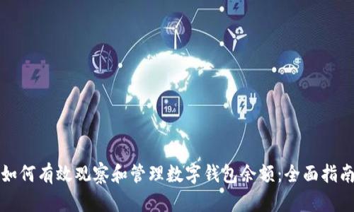 如何有效观察和管理数字钱包余额：全面指南