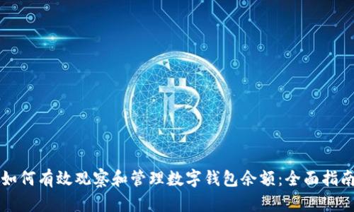 如何有效观察和管理数字钱包余额：全面指南