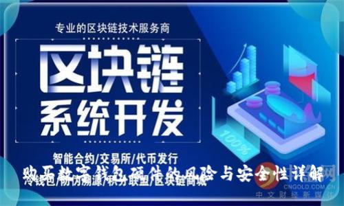 购买数字钱包硬件的风险与安全性详解