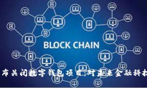 Meta宣布关闭数字钱包项目：对未来金融科技的影响