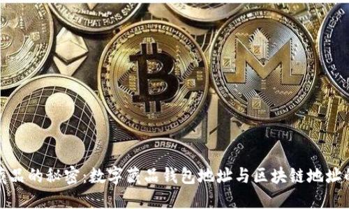 : 破解数字藏品的秘密：数字藏品钱包地址与区块链地址的区别与联系