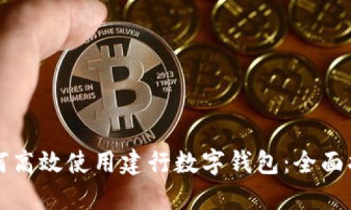 如何高效使用建行数字钱包：全面指南