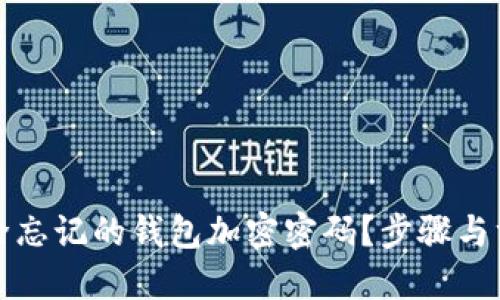 如何解除忘记的钱包加密密码？步骤与方法详解
